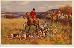 Fox hunting, polo and other horse prints